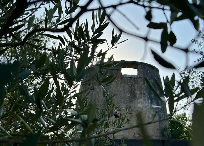 ファームステイ Casa Da Alagoa *